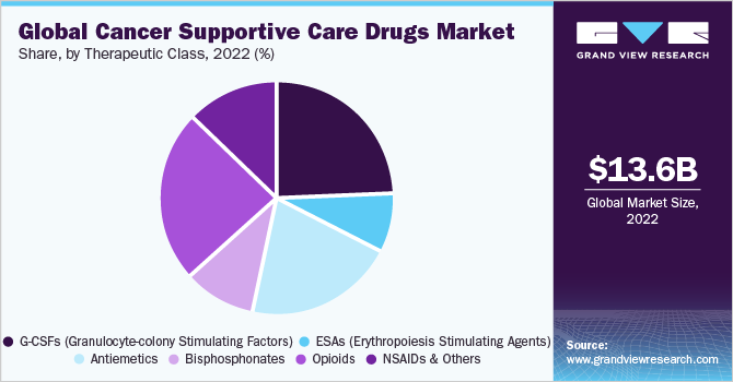Global Cancer Supportive Care Drugs market share and size, 2022