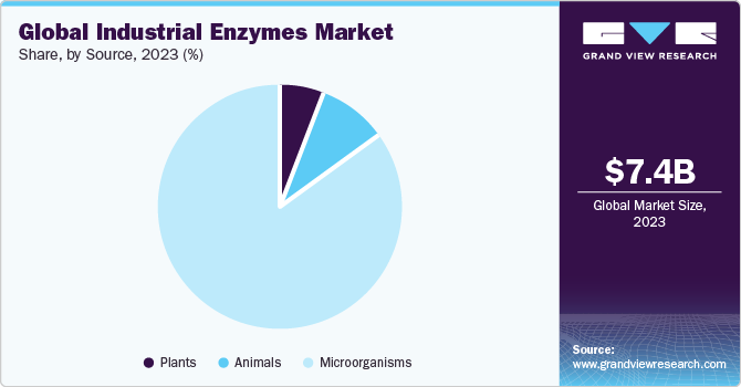 Global Industrial Enzymes Market share and size, 2023