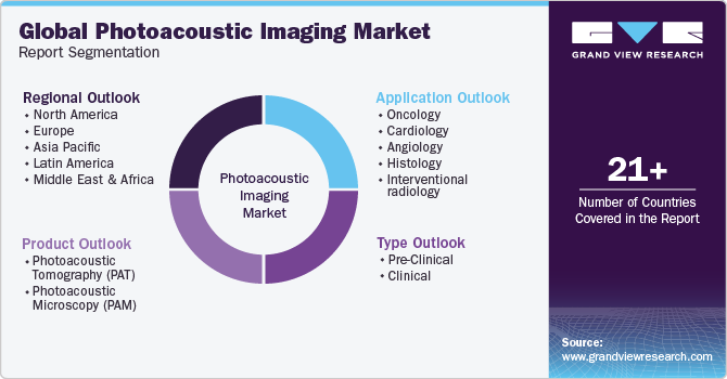 Global Photoacoustic Imaging Market Report Segmentation