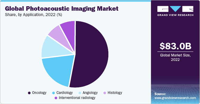 Global Photoacoustic Imaging Market share and size, 2022