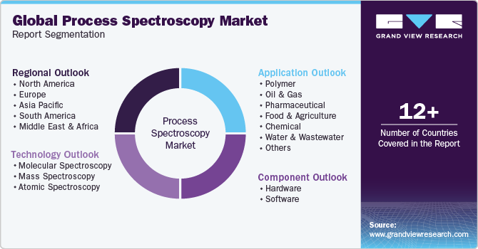 Global Process Spectroscopy Market Report Segmentation