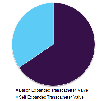 Global transcatheter pulmonary valve market