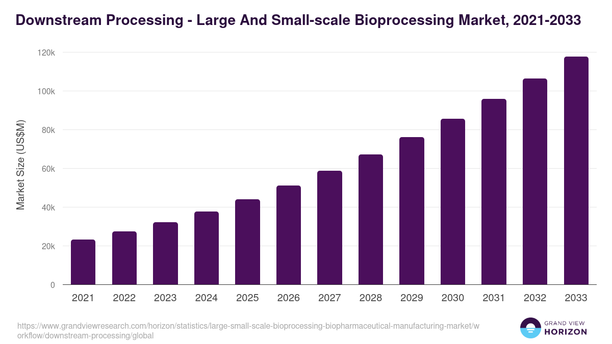 Downstream Processing - Large And Small-scale Bioprocessing Market Statistics, 2021-2033 (US$M)