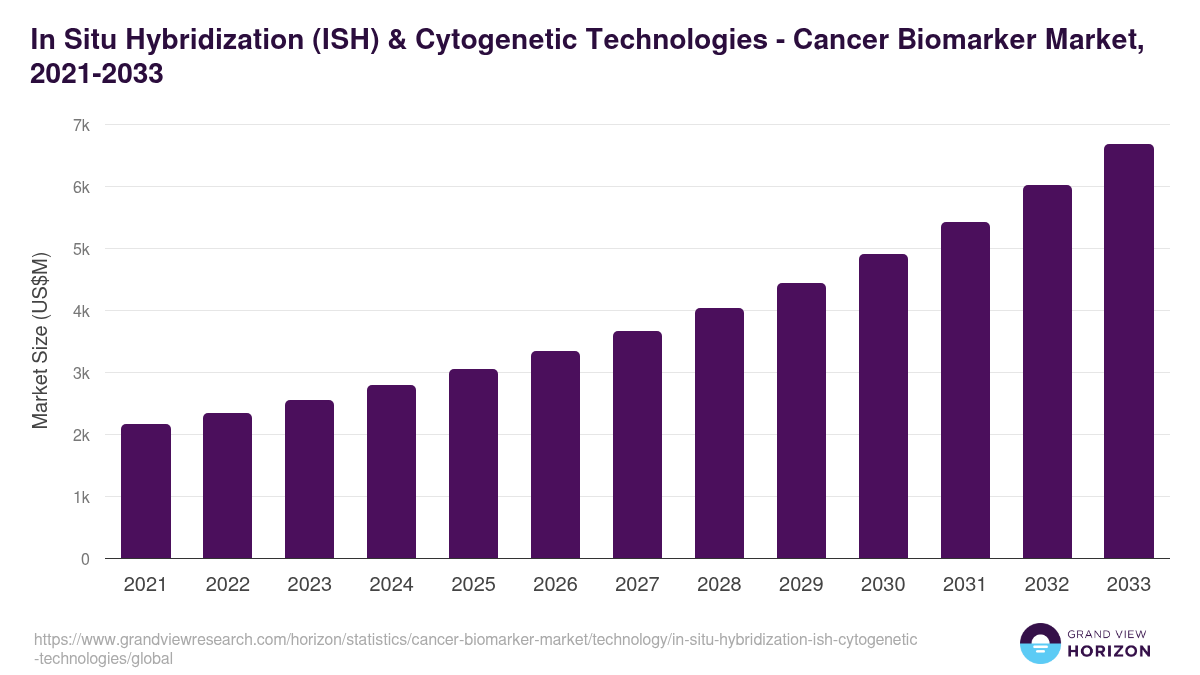 In Situ Hybridization (ISH) & Cytogenetic Technologies - Cancer Biomarker Market, 2021-2033 (US$M)
