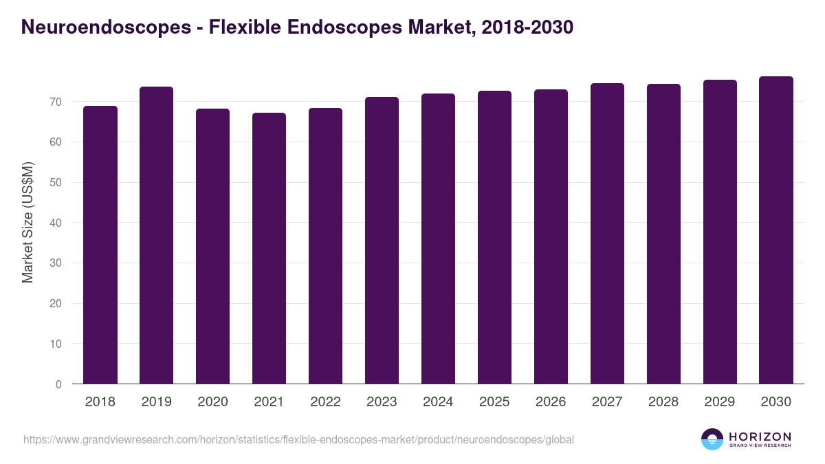 Neuroendoscopes - Flexible Endoscopes Market, 2018-2030 (US$M)