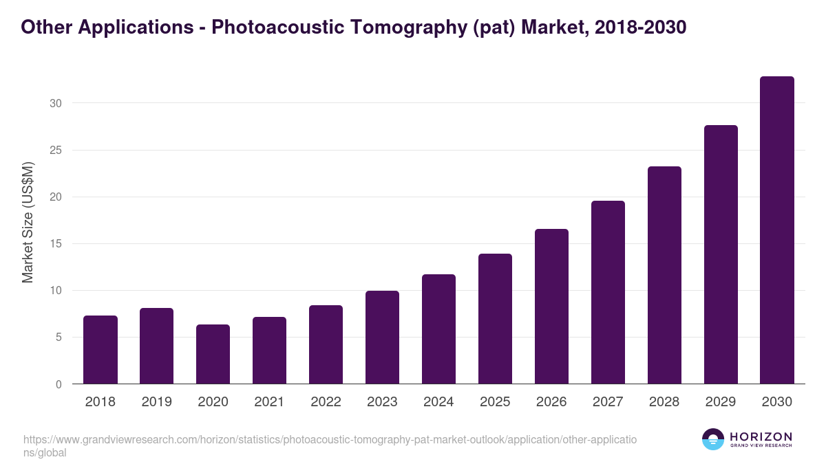 Other Applications - Photoacoustic Tomography (pat) Market Statistics, 2018-2030 (US$M)