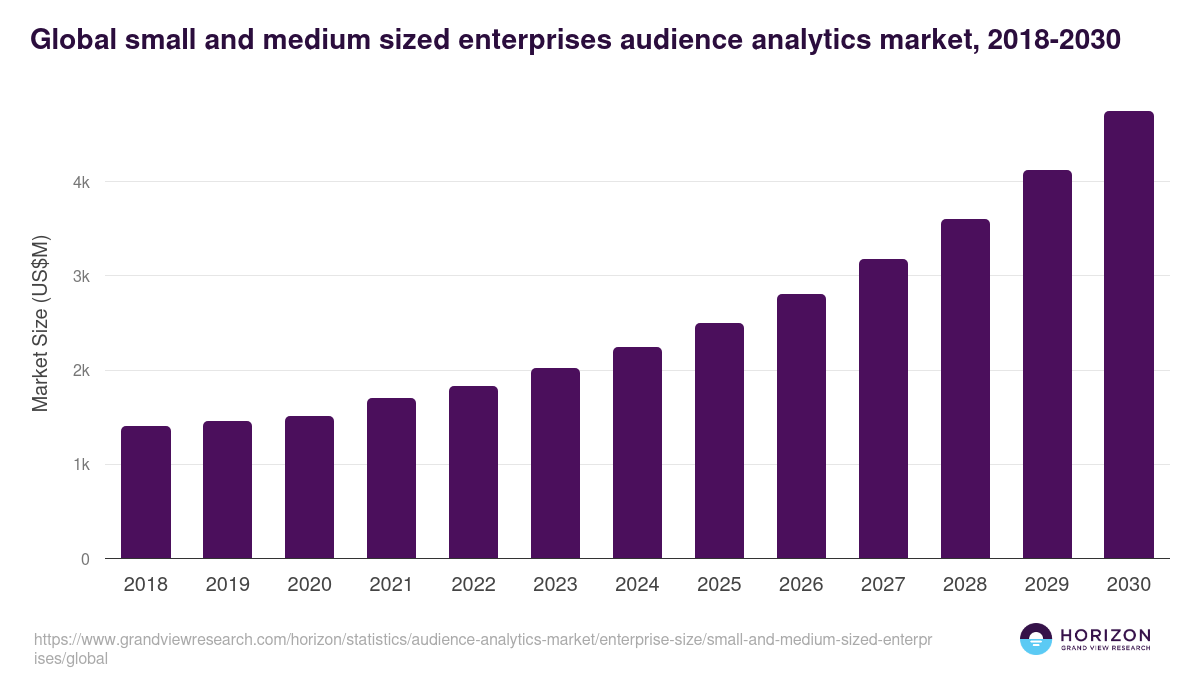Global small and medium sized enterprises audience analytics market statistics, 2018-2030 (US$M)