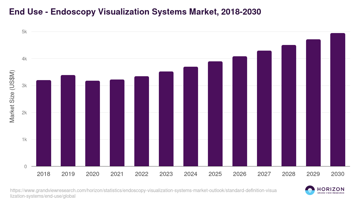 End Use - Endoscopy Visualization Systems Market Statistics, 2018-2030 (US$M)