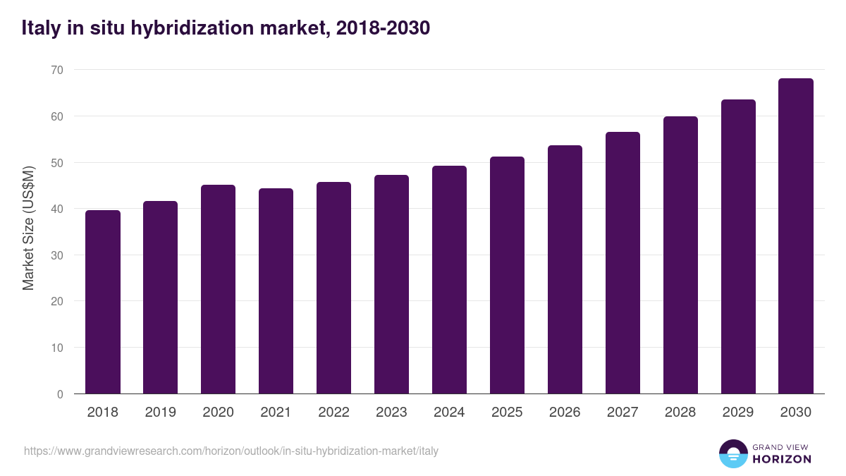 Italy in situ hybridization market, 2018-2030 (US$M)