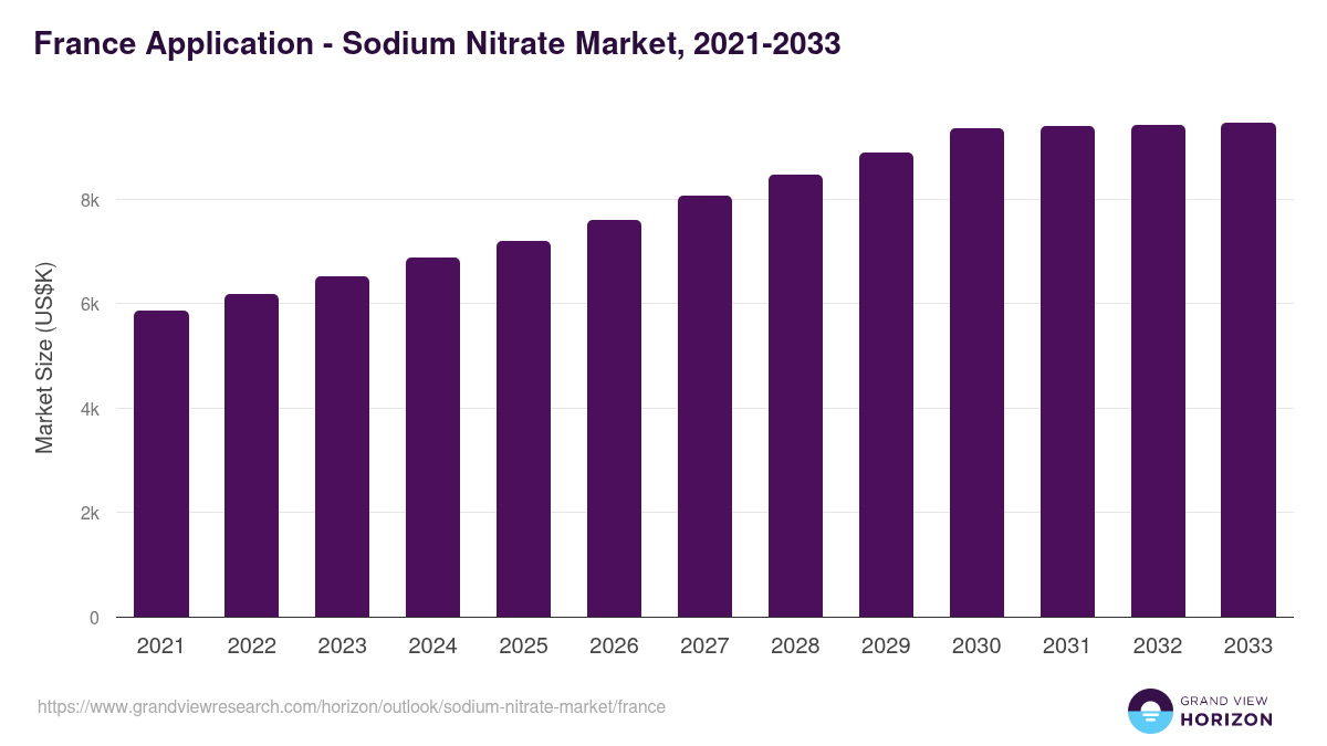 France sodium nitrate market, 2021-2033 (US$K)