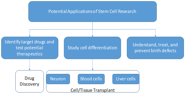 Regenerative Medicine Market