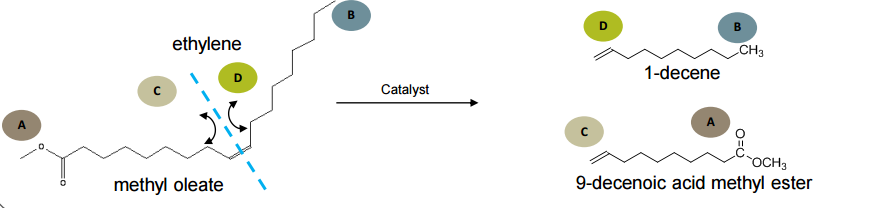 Bio-based 1-decene production process Market