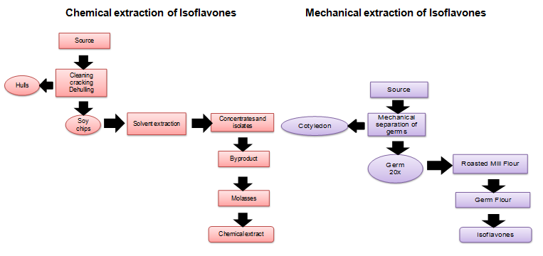 Isoflavones Market