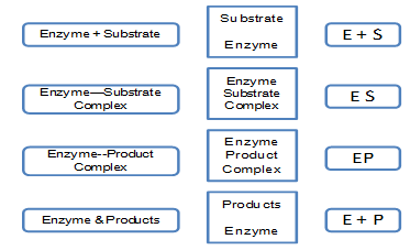 North America Personal Care Specialty Ingredient Market