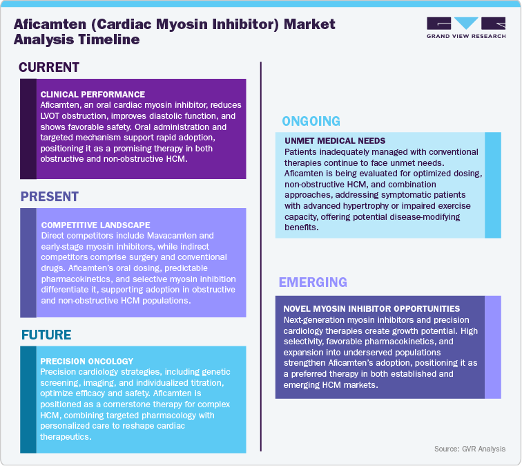 Aficamten (Cardiac Myosin Inhibitor) Market Analysis Timeline