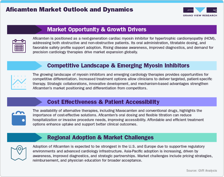 Aficamten Market Outlook and Dynamics