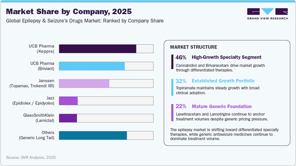 Epilepsy And Seizure Drug-Level Market Share by Company, 2025 Epilepsy And Seizure Drug-Level Market Share by Company, 2025