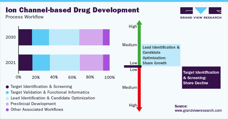Ion Channel-based Drug Development Process Workflow