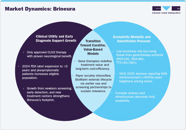 Market Dynamics: Brineura Market Dynamics: Brineura
