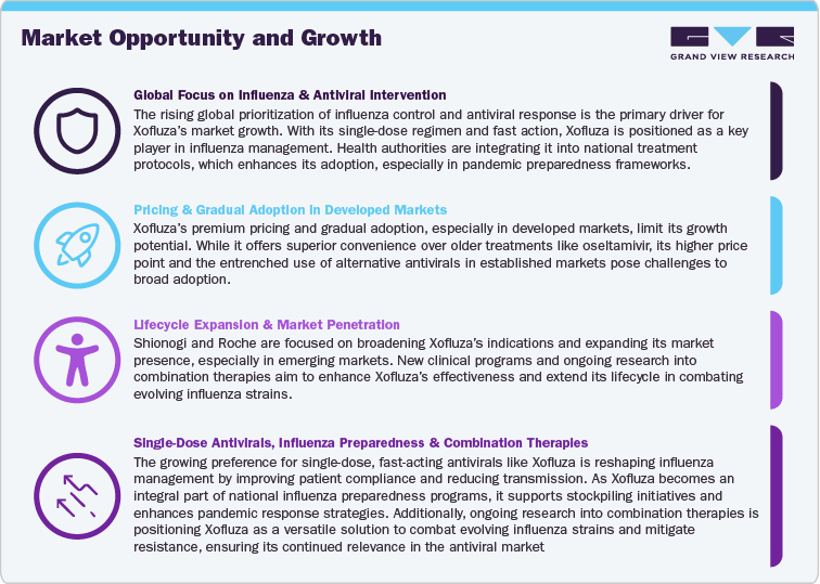 Market Opportunity and Growth: Baloxavir Marboxil (Xofluza) Market