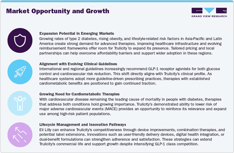 Market Opportunity and Growth