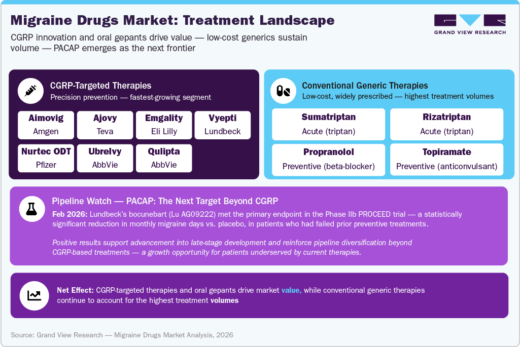Migraine Drug-Level Market: Treatment Landscape