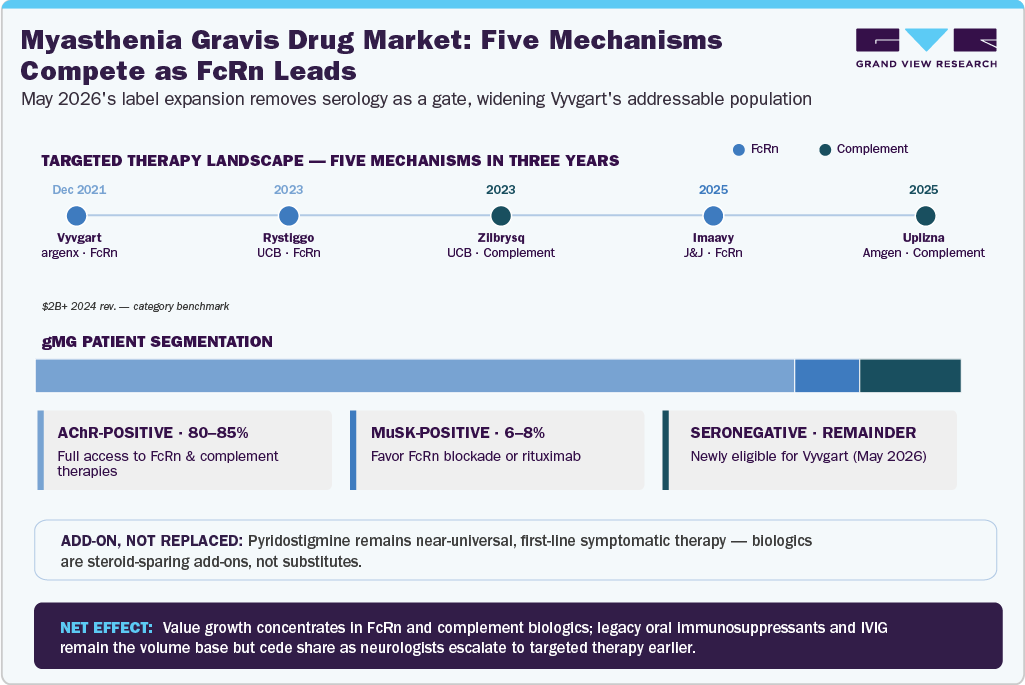 Myasthenia Gravis Drug-Level Market: Five Mechanisms Compete as FcRn Leads