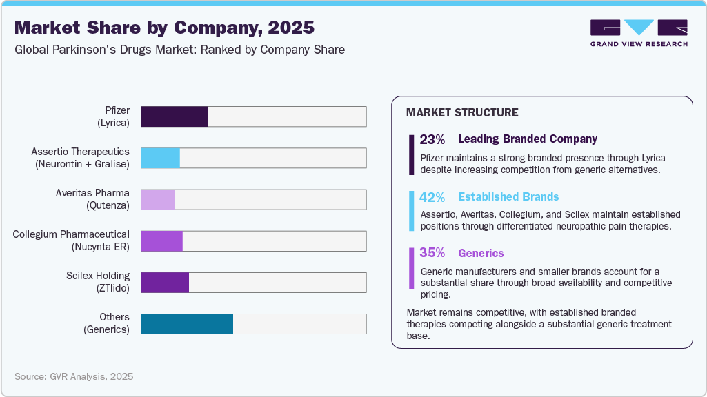 Neuropathic Pain Drug Market Share by Company, 2025 Neuropathic Pain Drug Market Share by Company, 2025