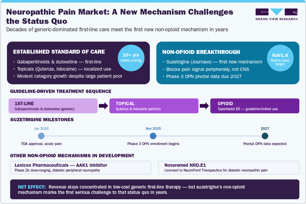 Neuropathic Pain Market: A New Mechanism Challenges the Status Quo Neuropathic Pain Market: A New Mechanism Challenges the Status Quo