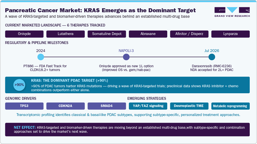 Pancreatic Cancer (PDAC) Market: KRAS Emerges as the Dominant Traget