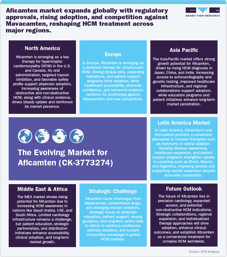 The Evolving Market for Aficamten (CK-3773274)