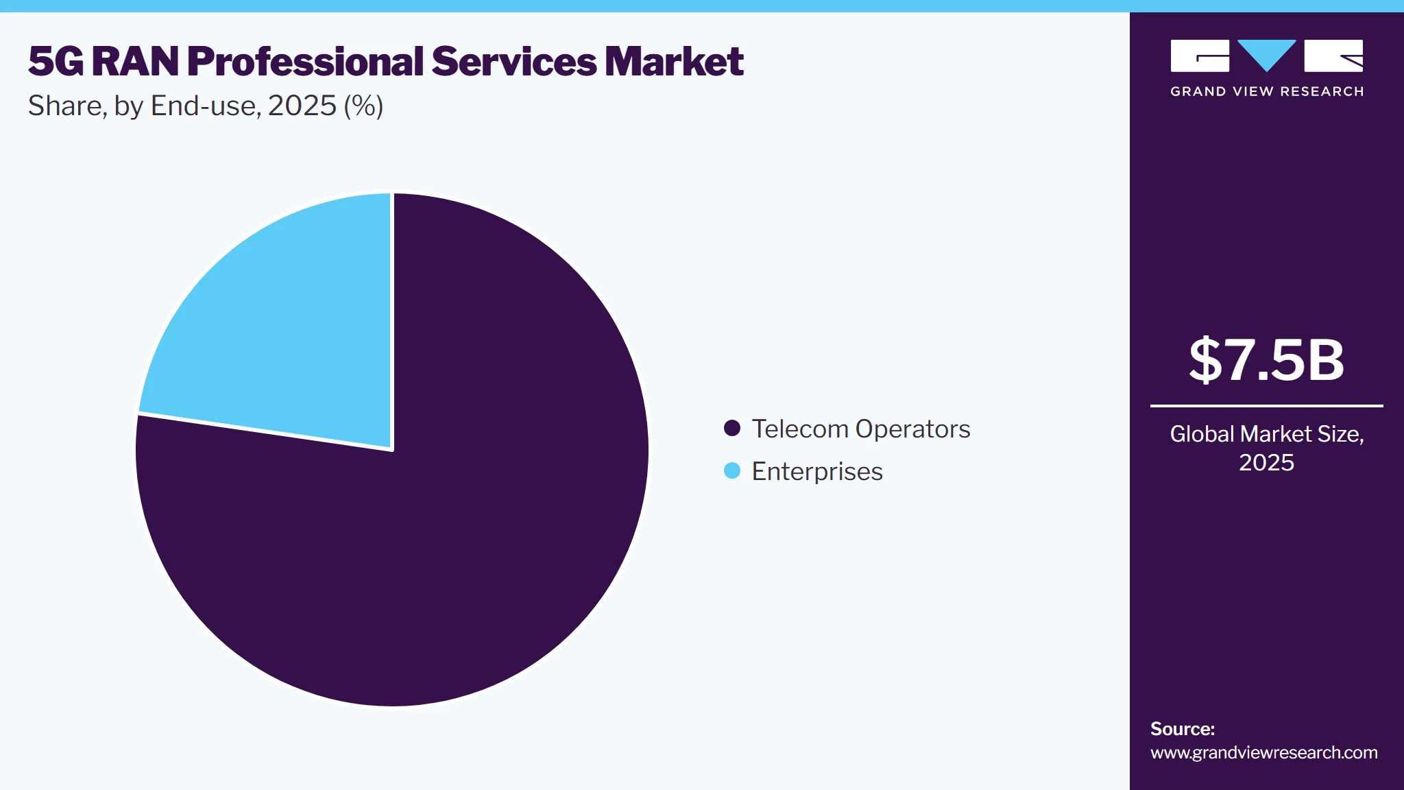 5G RAN Professional Services Market Share