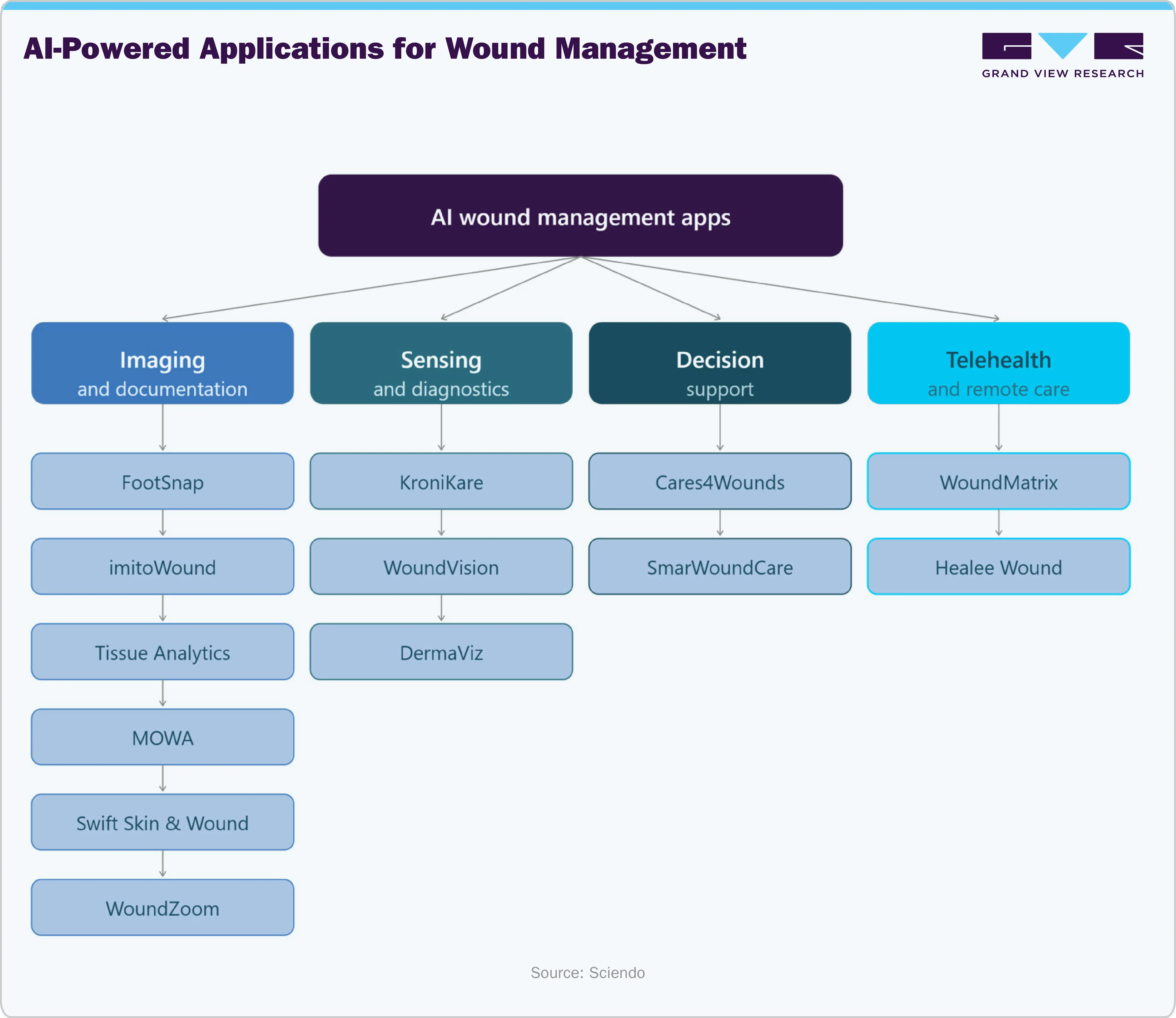 AI-Powered Applications for Wound Management AI-Powered Applications for Wound Management