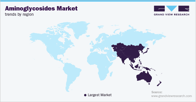 Aminoglycosides Market Trends by Region