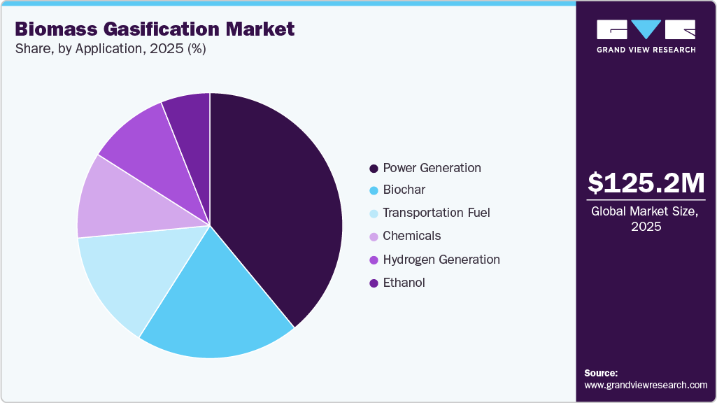 Biomass Gasification Market Share