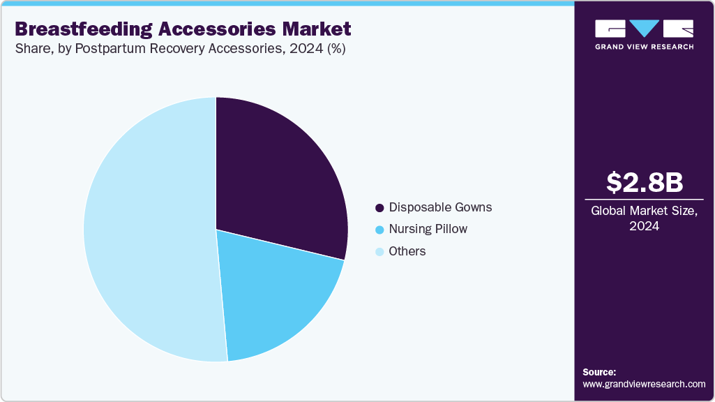 Breastfeeding Accessories Market Share