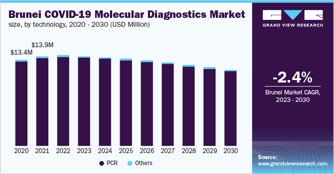  Brunei COVID-19 molecular diagnostics market size, by technology, 2020 - 2030 (USD Million)