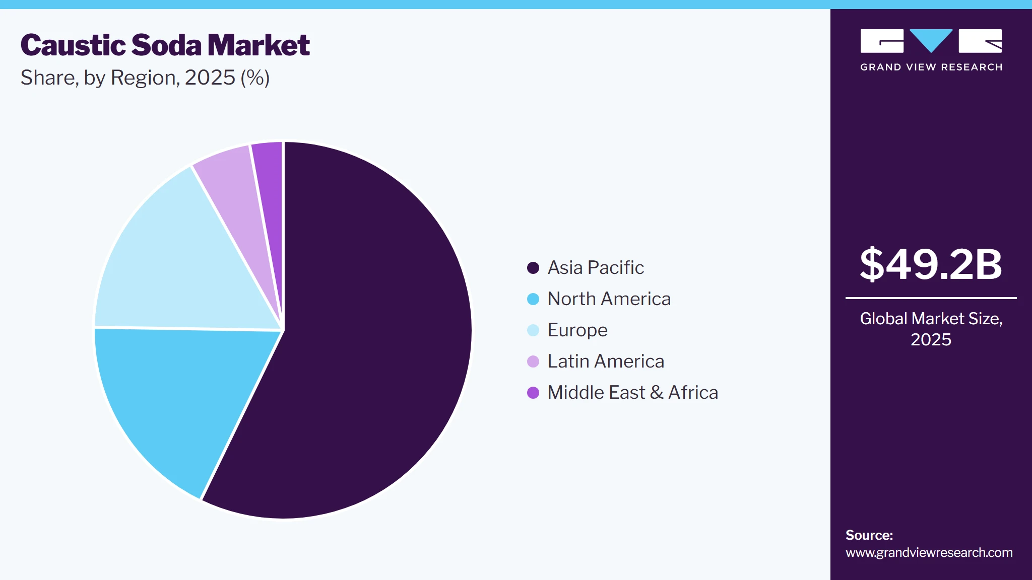 Caustic Soda Market Share