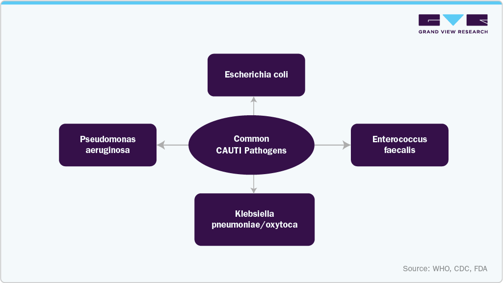 Common CAUTI Pathogen