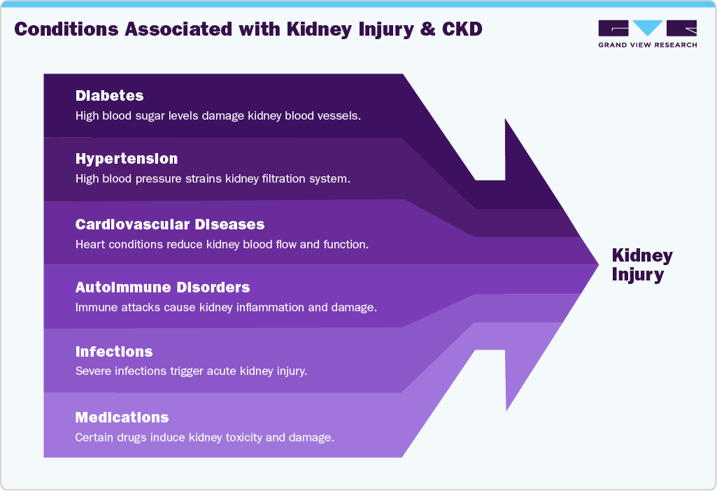 Conditions Associated with Kidney Injury and CKD