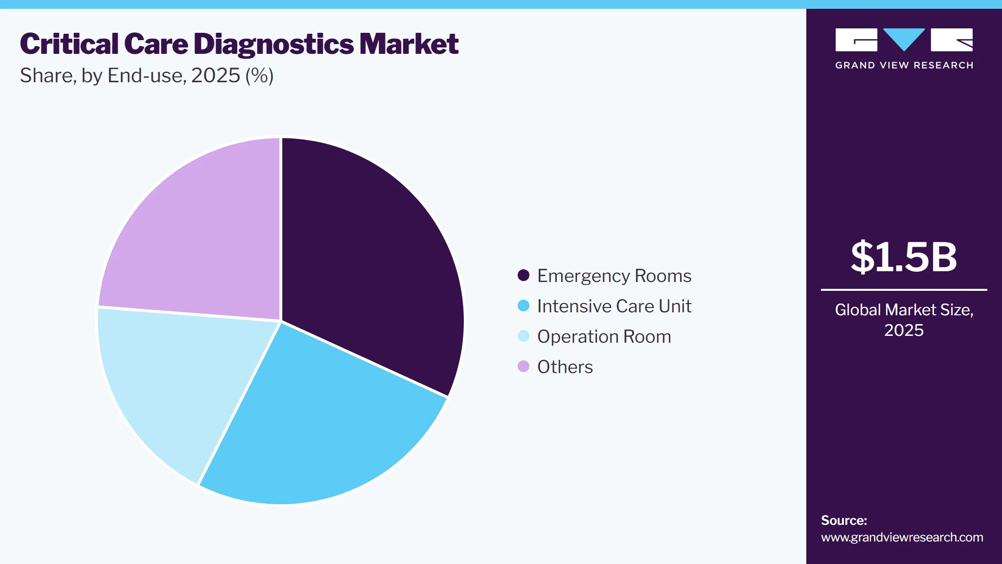 Critical Care Diagnostics Market Share