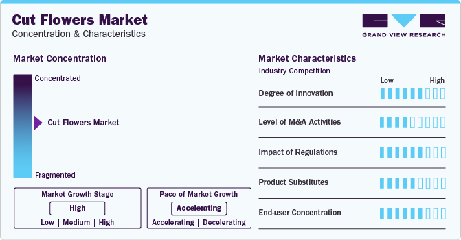 Cut Flowers Market Concentration & Characteristics