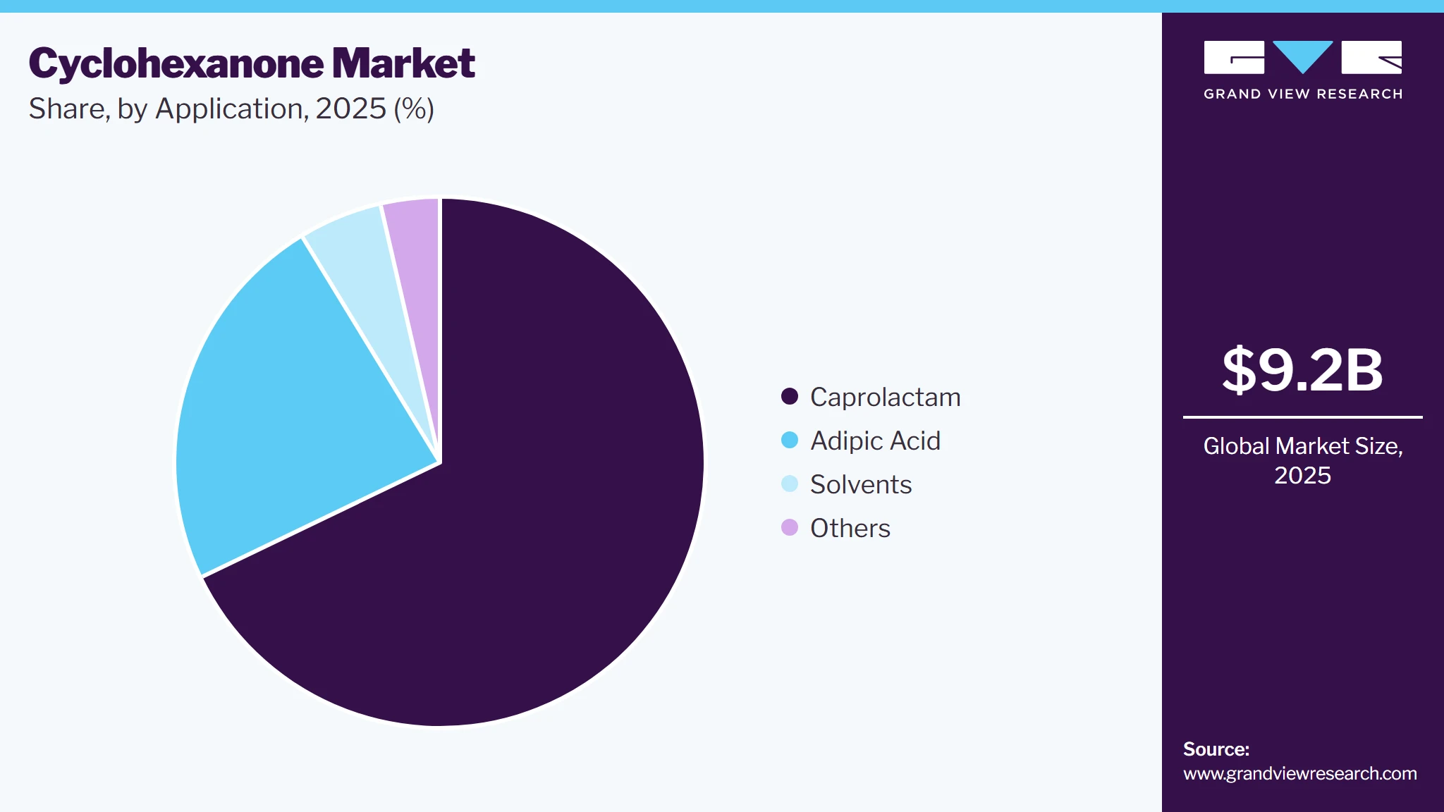 Cyclohexanone Market Share Cyclohexanone Market Share