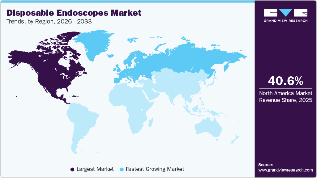 Disposable Endoscopes Market Trends, by Region, 2026 - 2033