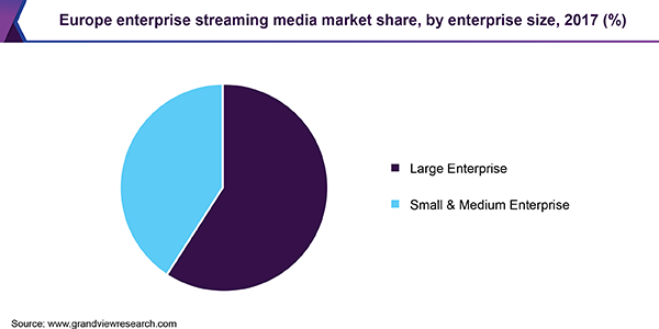 Europe enterprise streaming media market share, by enterprise size, 2017 (%)