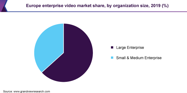 Europe enterprise video market share, by organization size, 2019 (%)