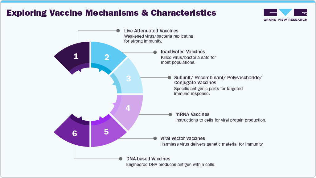 Exploring Vaccine Mechanisms and Characteristics