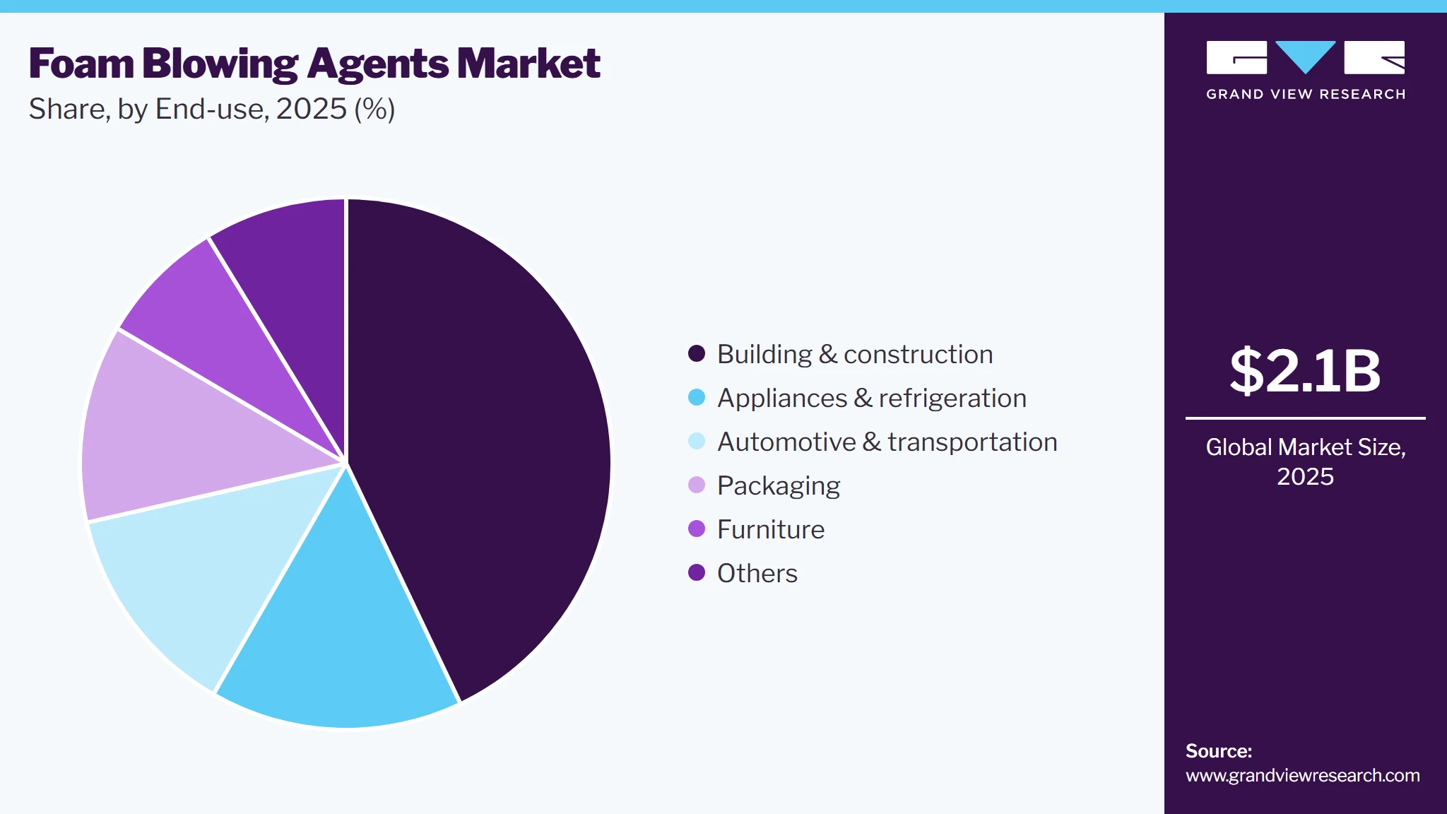 Foam Blowing Agents Market Share