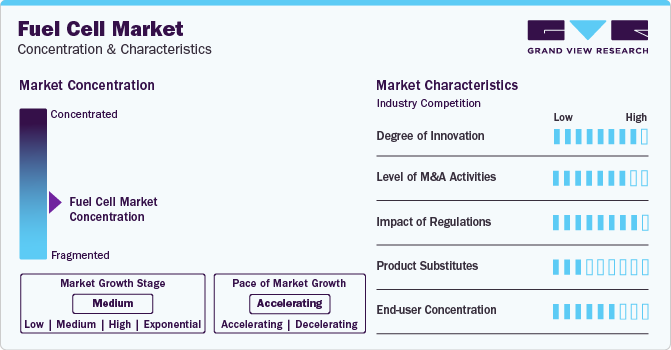 Fuel Cell Market Concentration & Characteristics
