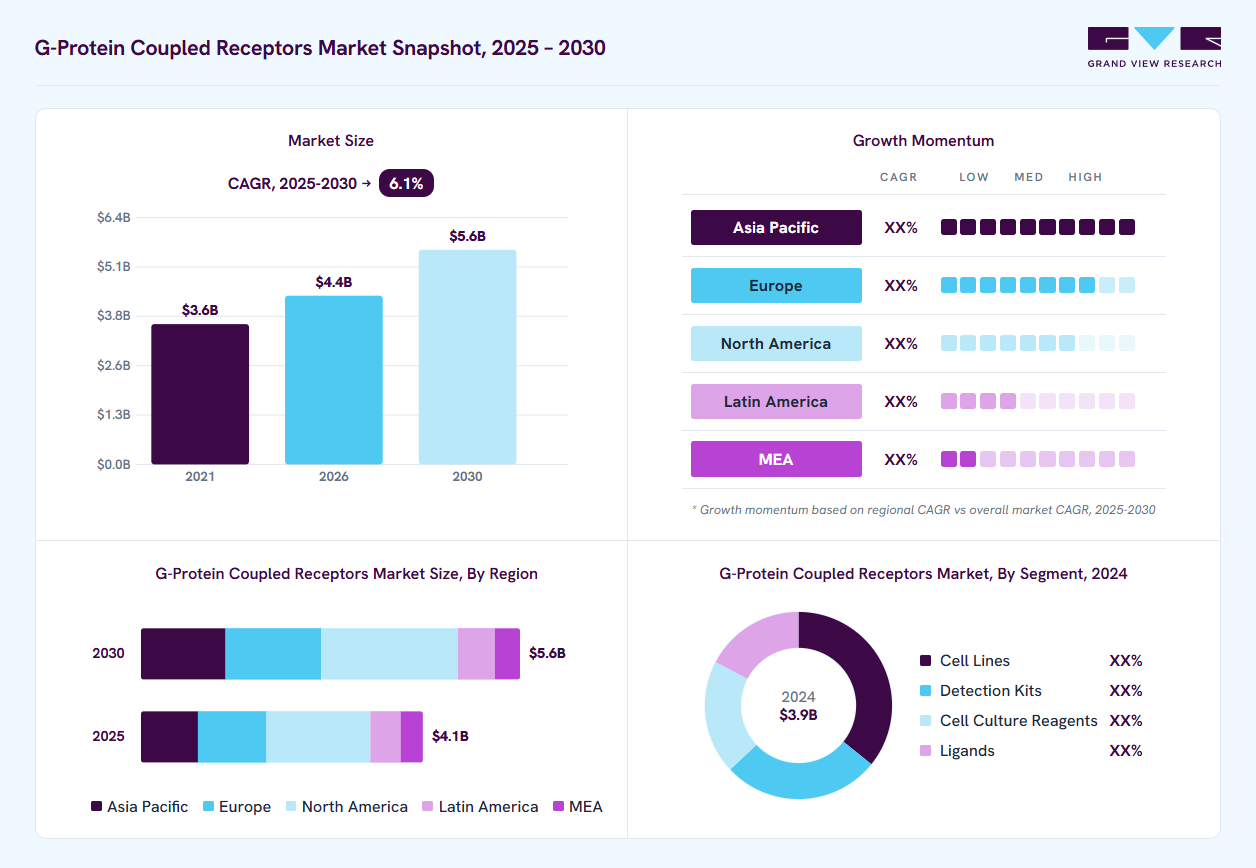 G-Protein Coupled Receptors market overview: Grand View Research estimates the global market size at USD 3.9 billion in 2024, projected to grow from USD 4.4 billion in 2026 to USD 5.6 billion by 2030 at a 6.1% CAGR, with regional growth momentum.